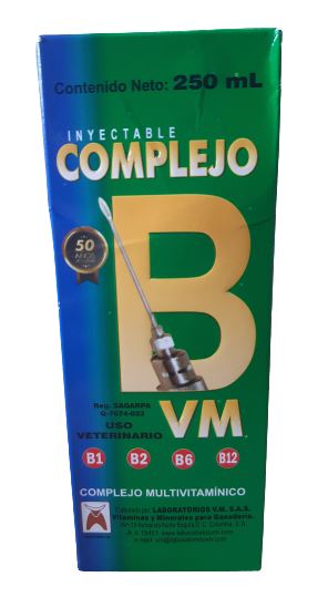 COMPLEJO B V.M. INY * 250ML