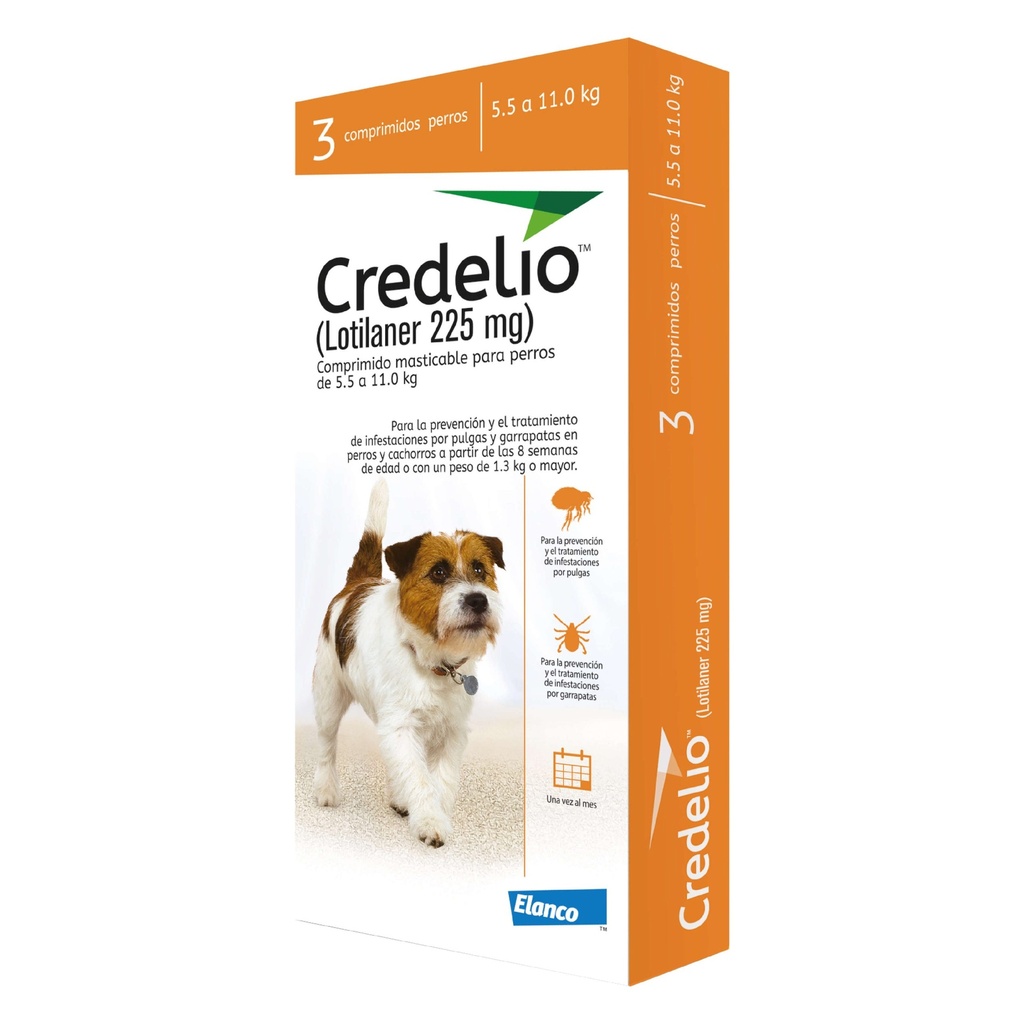 CREDELIO 5 A11 KL