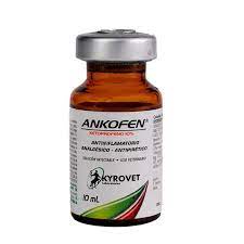 ANKOFEN 10% * 10 ML