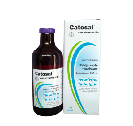 CATOSAL B12 * 50 ML