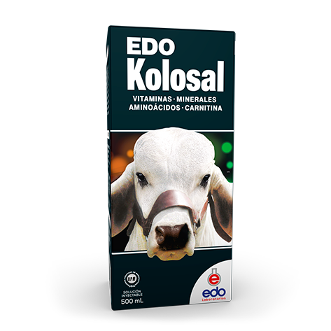 EDO KOLOSAL * 500 ML