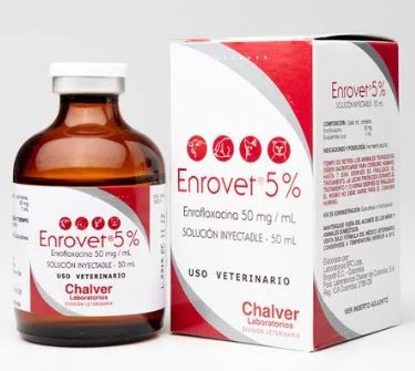 ENROVET 5% INY * 50 ML