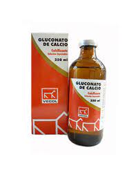 GLUCONATO DE CALCIO VECOL * 250 ML