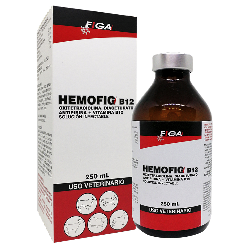 HEMOFIG B12 * 250 ML