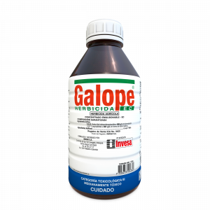 GALOPE EC * 1 LTS