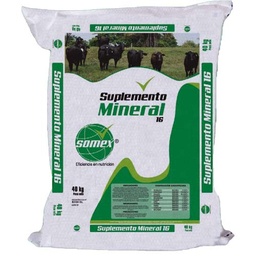 SAL SOMEX SUPLEMENTO MINERAL  16% * 1 KG