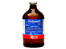 OXIBEST * 500 ML