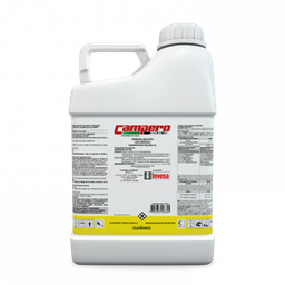 CAMPERO 304 SL * 4 LTS