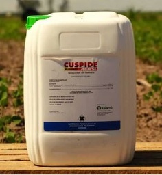 CUSPIDE 480 SL * 20 LTS