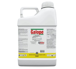 GALOPE * 4 LITROS